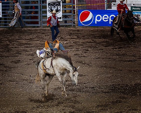 Rodeo 3