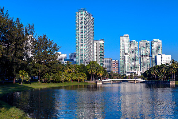 Parks make the City - Dragonfly Lake