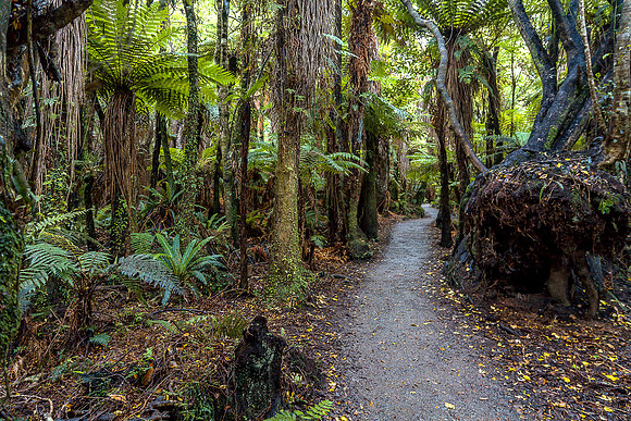 Cathedral Walk