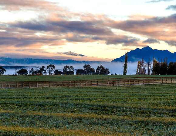 Morning Fields with fog