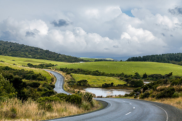 Countryside NZ Catlins