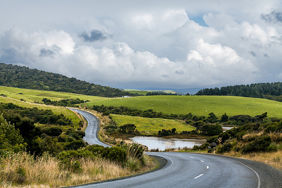 Countryside NZ Catlins