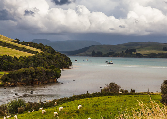 New Zealand in one photo