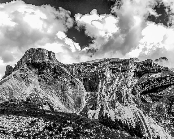 Swiss B&W