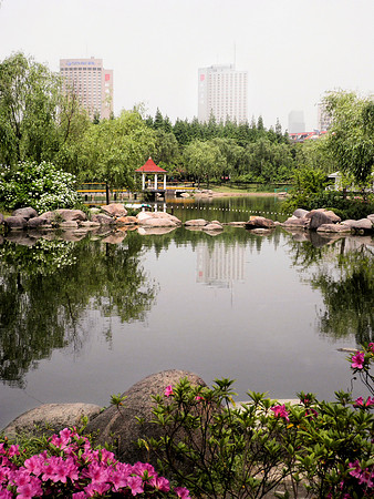 Chinese garden