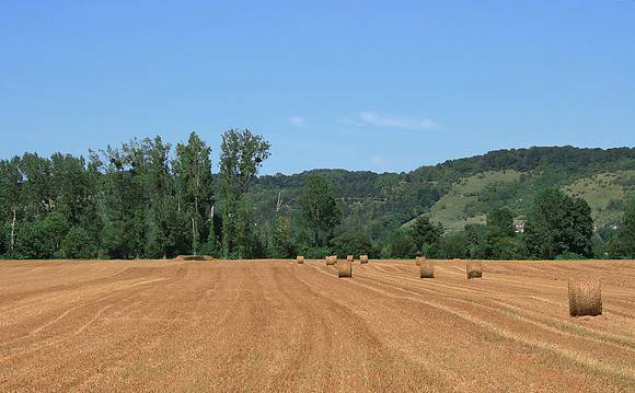 French Countryside