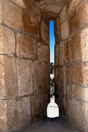 Gethsemane from the temple mount
