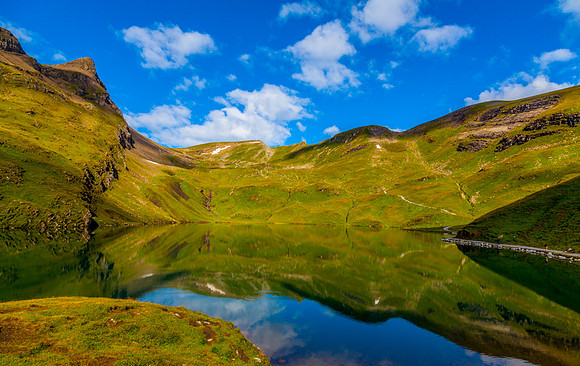 First Reflections