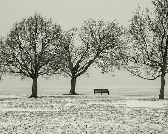 Cold and Lonely