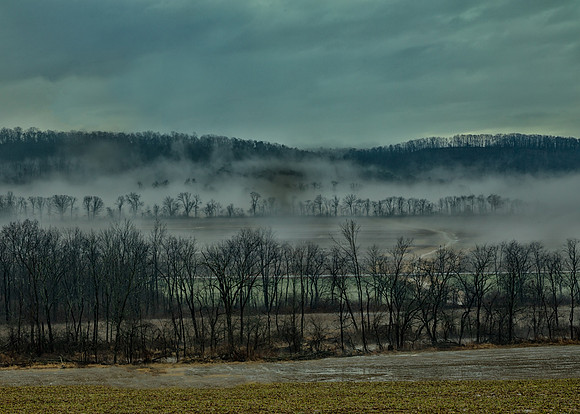 Foggy Hills