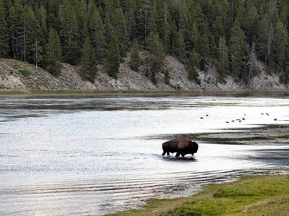 Water Crossing