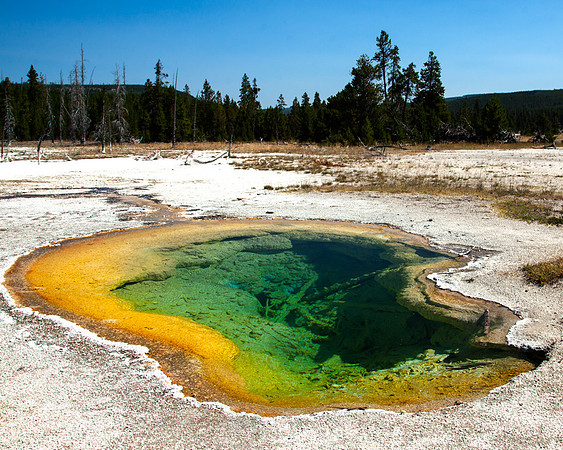 186 Degree Pool