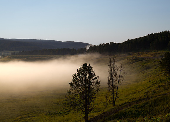 Morning mist in Hyden Valley