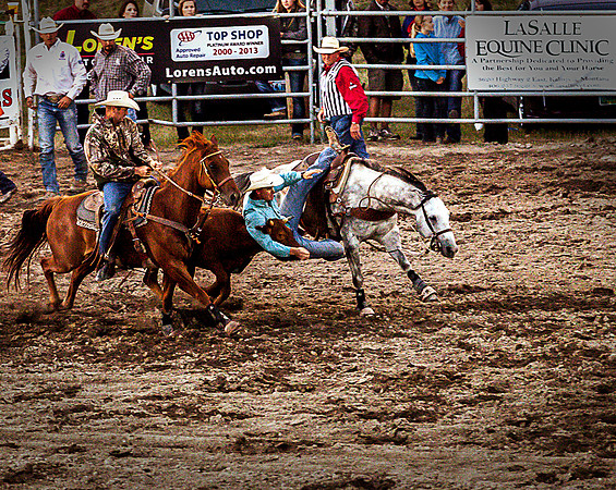 Rodeo 5