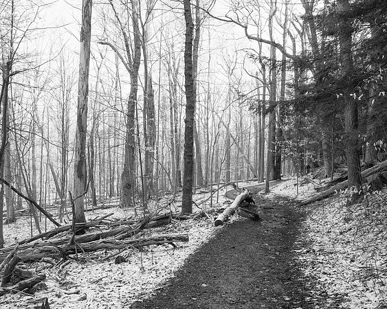 Ledges