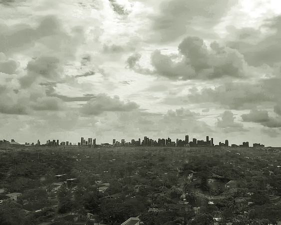 Miami Skyline