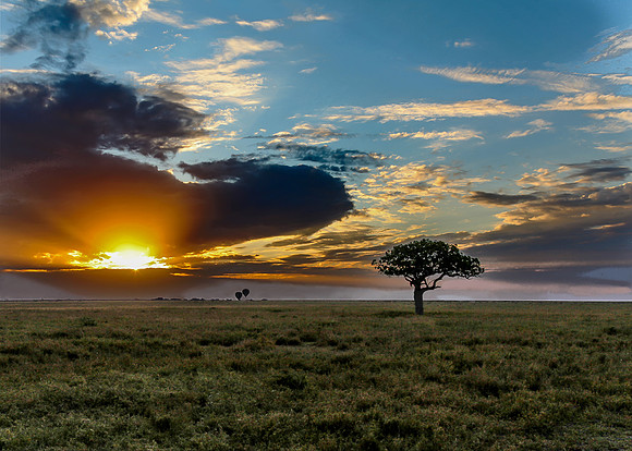 Serengeti Sunrise