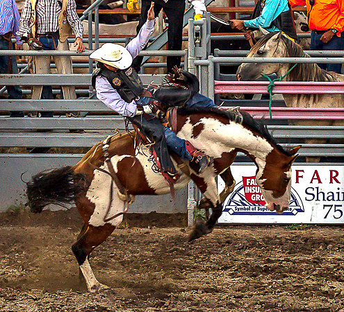 Rodeo 4