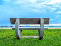 Park Bench View