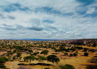 Plains of Tarangire