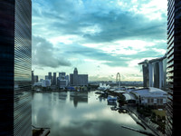 MBFC View