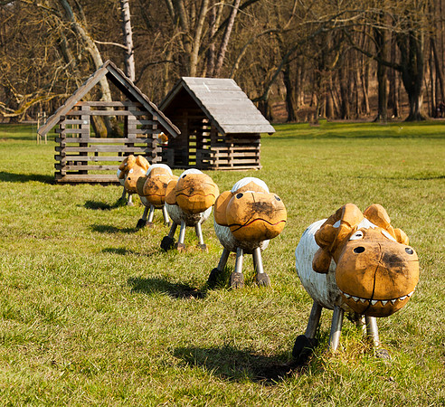 Wooden sheep